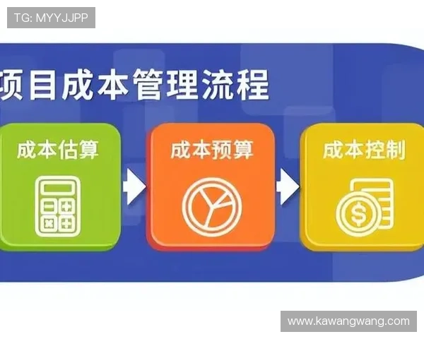 凯发注册游戏公司地址查询流程优化与效率提升策略